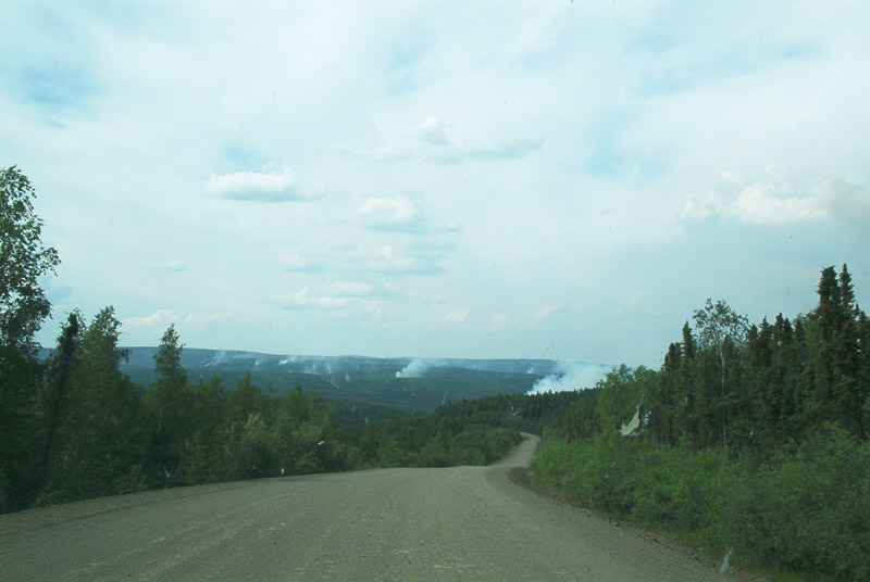BushFires