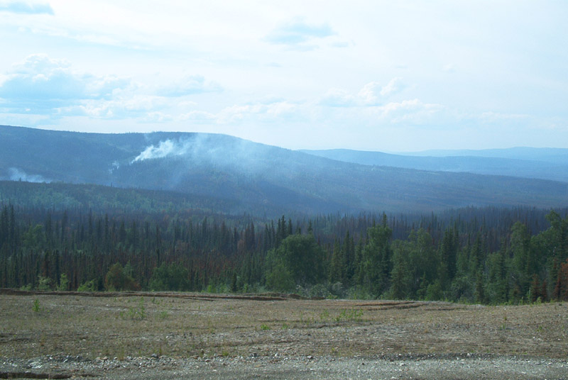 BushFires2