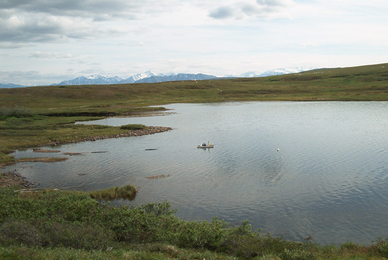 ToolikLake3