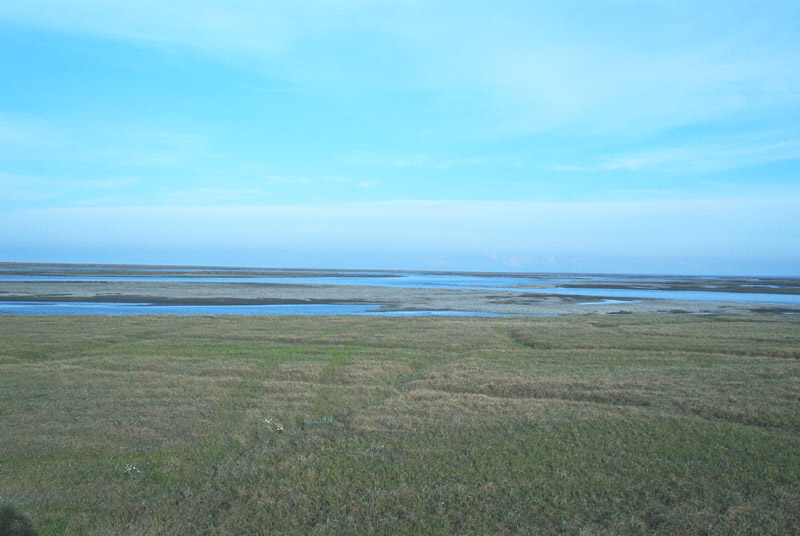 Tundra1