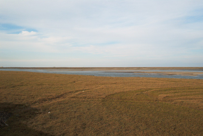 Tundra2