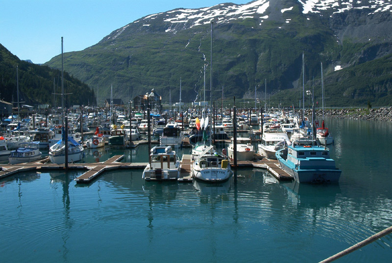 whittierharbor2