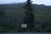 farthestnorthtree