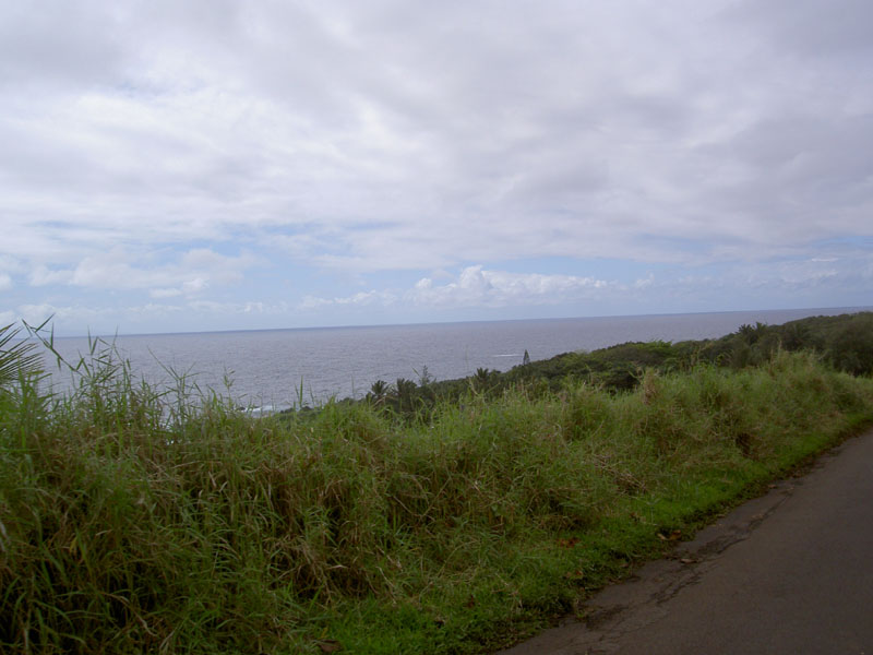 PICT1259_800x600