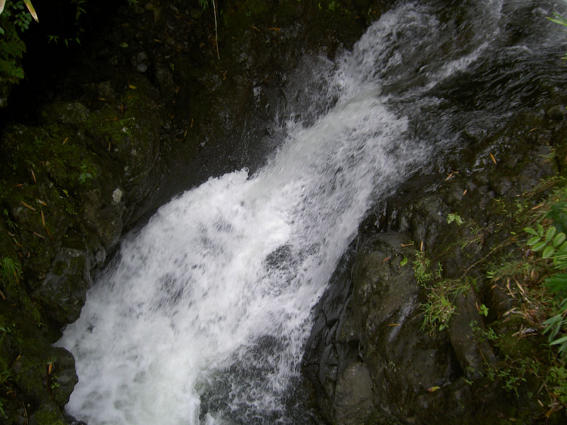 PICT1269_800x600